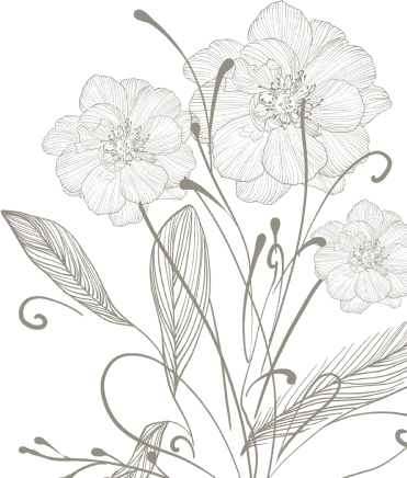 footer-illus