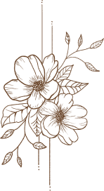 footer-illus