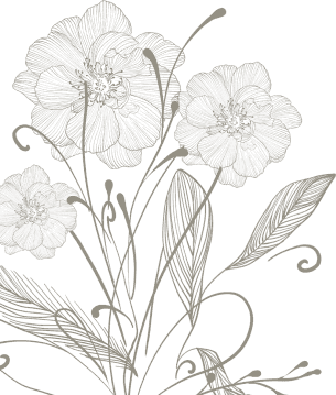 footer-illus