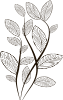 footer-illus