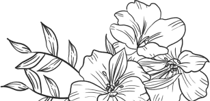 footer-illus